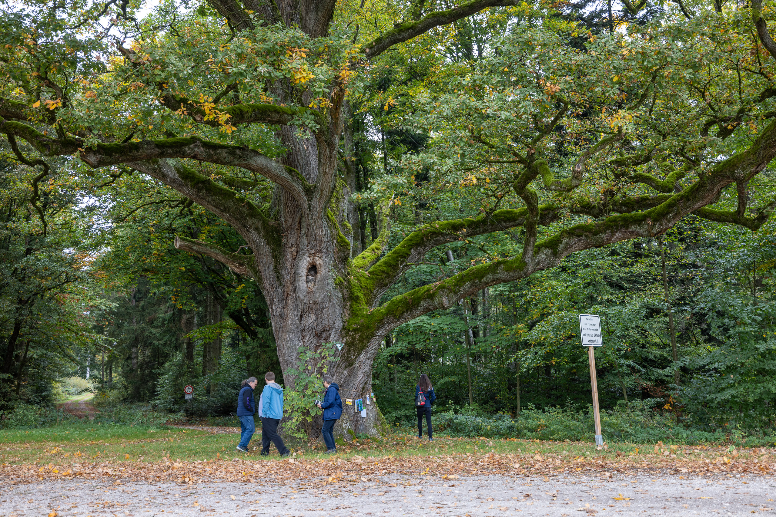 20231015105213 R5D 4362